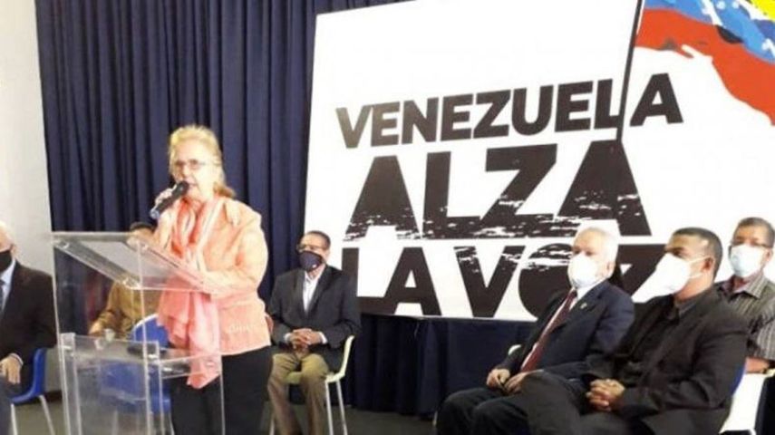 Miembros de la sociedad civil apoyan la Consulta Popular.