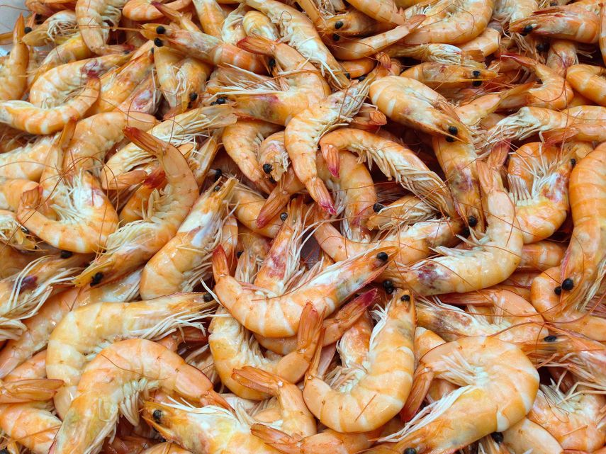 EEUU prohíbe importación de mariscos de compañía china&nbsp;