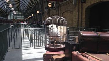 El parque temático de Universal se inauguró en 2010. Foto: (AP)