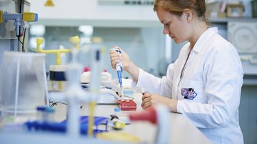 El virus ya no está presente en áreas activas de transmisión como sucedió en meses recientes.