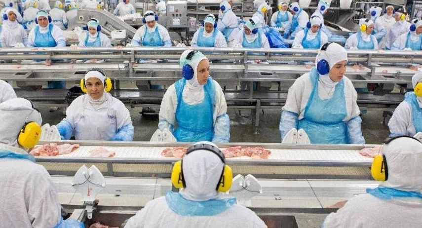 Trabajadoras brasileñas en una planta procesadora de pollos.