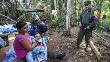 En cuanto a los principales responsables de esta violencia, un 32,2% corresponde a paramilitares, un 31,5% a las guerrillas