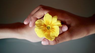 La lucha contra la intolerancia requiere de educación