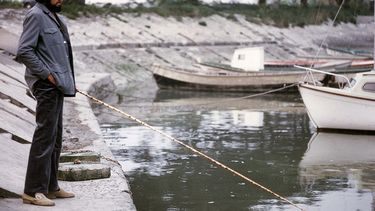Imagen cedida por editorial Alfaguara publicada en el libro Cortazar de la A a la Z. (EFE)