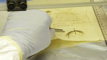 Esta foto proporcionada en marzo de 2023 por investigadores muestra un mechón de cabello del compositor Ludwig van Beethoven, en un laboratorio del Instituto Max Planck para la Ciencia de la Historia Humana en Alemania. Cientos de años después de la muerte de Beethoven, los investigadores extrajeron ADN del cabello y encontraron pistas sobre lo que lo mató.