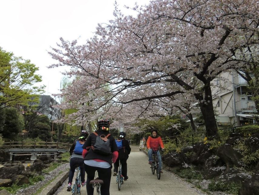 En el centro de Tokio abundan los lugares de interés turístico que se pueden recorrer en bicicleta.