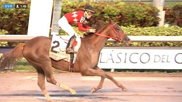 El jinete boricua Irad Ortiz fue el encargado de dirigir a la yegua Jala Jala, con la que México logra ganar el Clásico del Caribe 2017.
