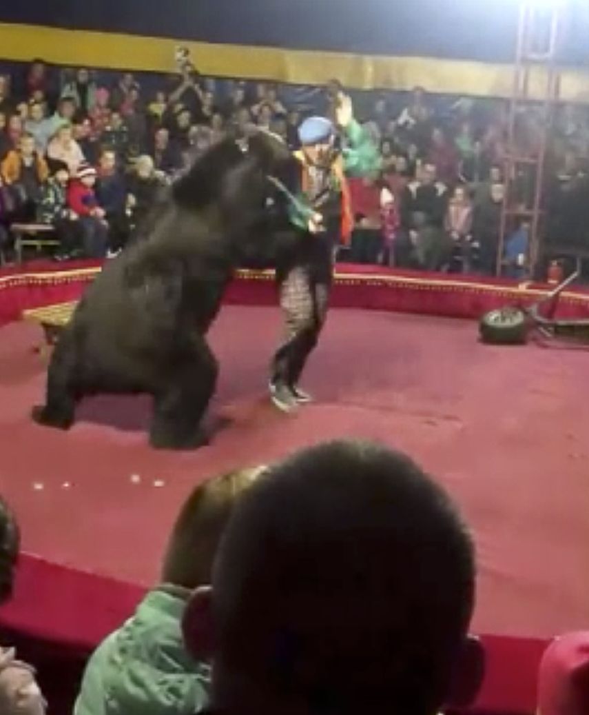 En esta imagen&nbsp;proporcionada por Galina Guryeva se ve a un oso atacar a su entrenador en un circo en Olonets, Rusia, el 23 de octubre de 2019.&nbsp;