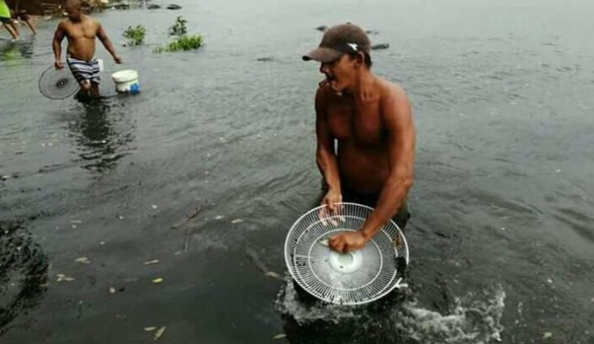 Personas con diversos objetos, como cubos o parrillas de ventiladores, atrapando peces en medio de la escasez de alimentos que se vive a lo largo y ancho de Cuba