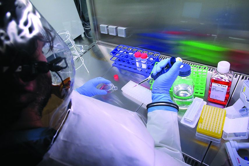 La duda que se plantea en torno a estos nuevos sistemas de inoculación es cómo usarlos para enfrentar este nuevo brote si ninguno ha sido puesto a prueba de forma rigurosa en seres humanos. (Archivo)