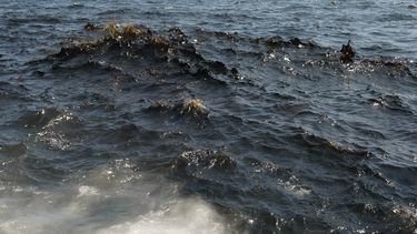 De acuerdo con la compañía, tan pronto fue detectado el derrame, se activó inmediatamente el plan de emergencia y se tomaron medidas de control de la situación cesando la fuga.