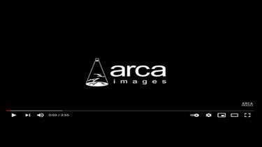 Arca Images presenta la pieza Fallen Angels en el Adriana Barraza Black Box, en Miami.
