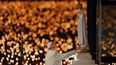 El papa Francisco dirige una vigilia especial a la luz de velas en el santuario de Nuestra Señora de Fátima el 12 de mayo de 2017 en Fátima, Portugal.&nbsp;