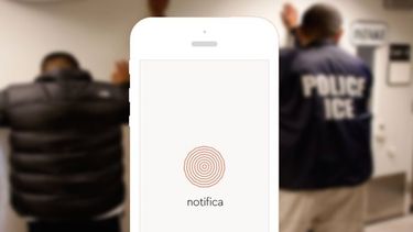 La aplicación Notifica, una opción para los indocumentados.&nbsp;
