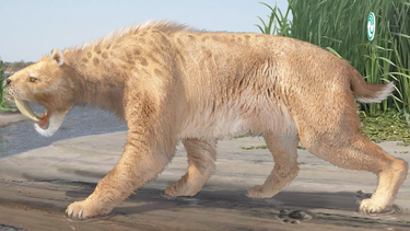 Una simulación digital del smilodon, un tigre dientes de sable.&nbsp;