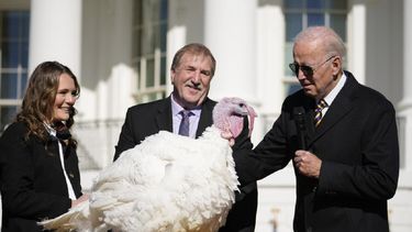 Biden indulta a dos pavos por Acción de Gracias