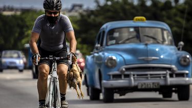 Un ciclista con máscara como medida de precaución contra la propagación del nuevo coronavirus lleva un pollo en la mano mientras pedalea su bicicleta en La Habana, Cuba, el domingo 11 de octubre de 2020.&nbsp;