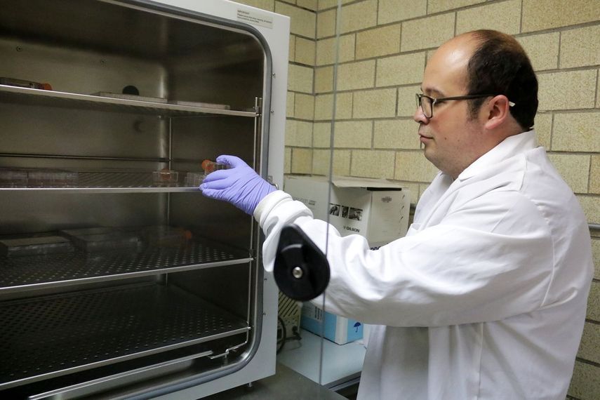 Esta revolucionaria investigación utiliza técnicas como la inmunoprecipitación y el wester blot para saber si el anticuerpo funciona como vacuna o método de diagnóstico.