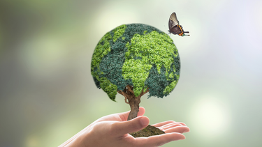 Controversia por megaproyecto en zona protegida de Miami-Dade