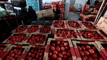 Cajas de tomates en el Mercado Central de Abastos en Guadalajara, estado de Jalisco, México.