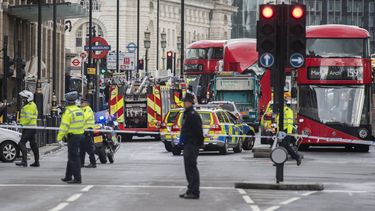 Agentes de policía británicos permanecen en guardia tras el tiroteo ante el Parlamento.