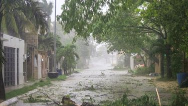La vegetación cubre una calle durante el paso del huracán Beryl en Tulum, México, el viernes 5 de julio de 2024.