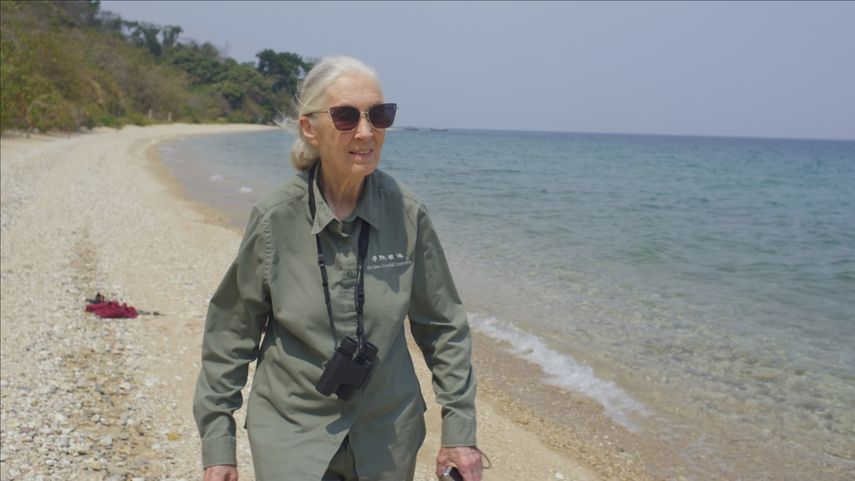 Jane Goodall
