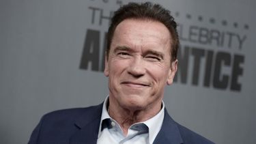 El actor Arnold Schwarzenegger.