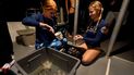 Los estudiantes de la Escuela de Ciencias Marinas y Atmosféricas de la Universidad de Miami Devon Ledbetter, izquierda; y Avery Boals mezclan pegamento para adjuntar pedazos de coral a un arrecife en un buceo nocturno para inspeccionar corales en Cayo Vizcaíno, Florida, el 15 de agosto del 2022. 