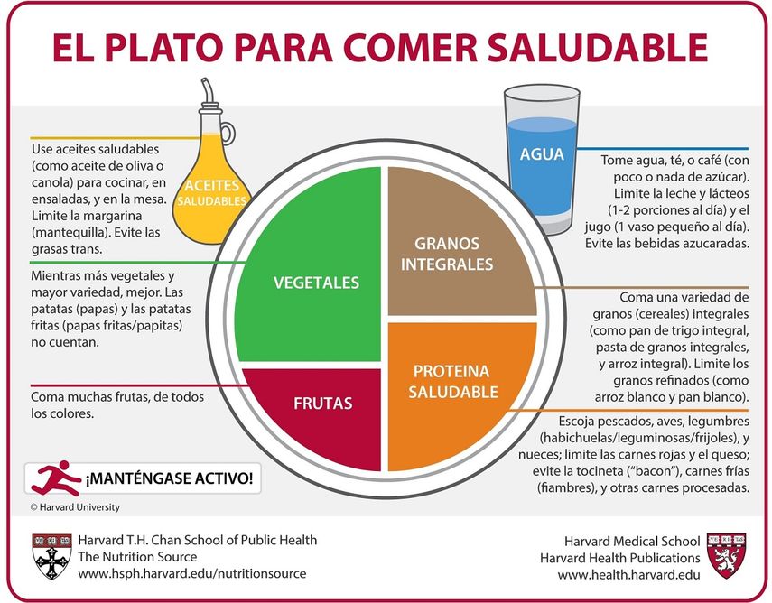 Plato de Buena alimentacion