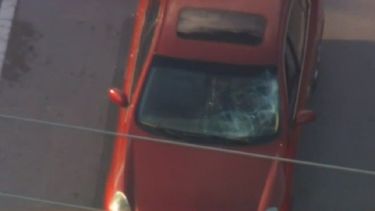 La menor&nbsp;no&nbsp;se encontraba&nbsp;en la zona delimitada para el cruce de calle.