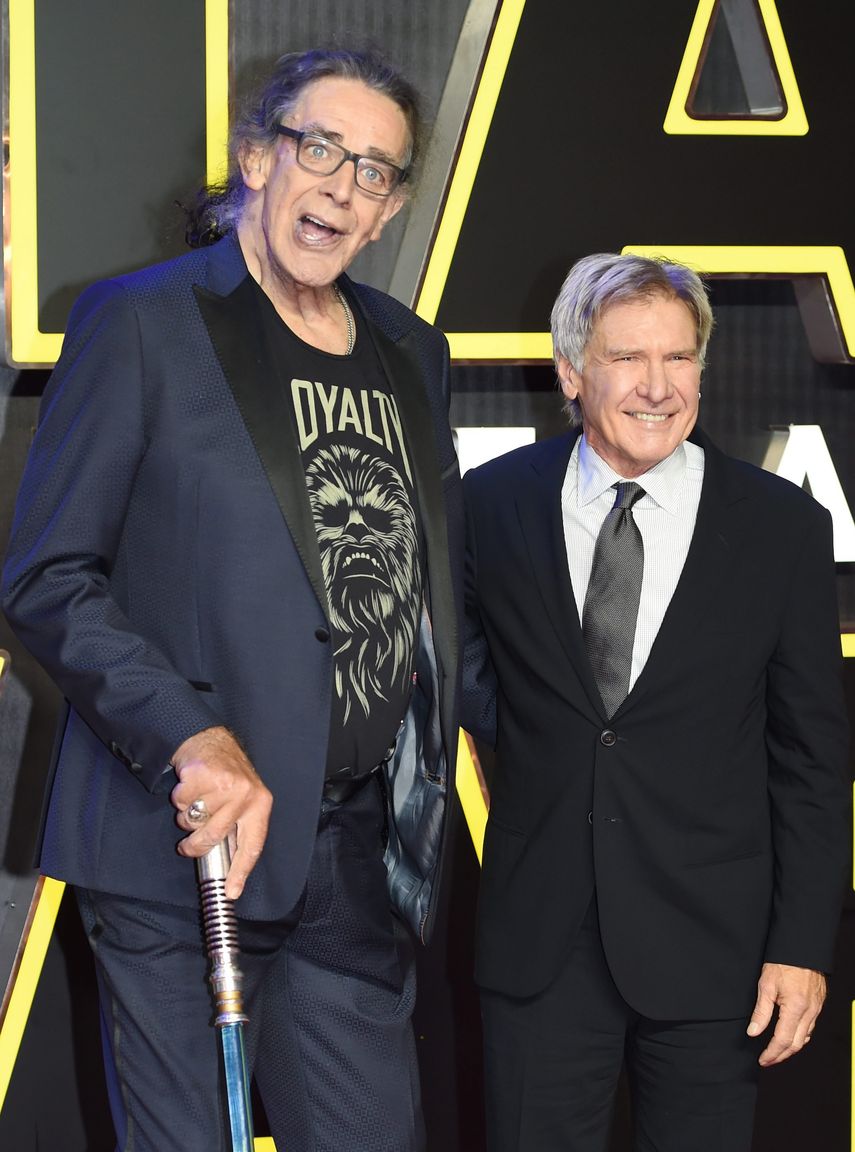 Companheiros e amigos por mais de 30 anos', diz Harrison Ford sobre Peter  Mayhew