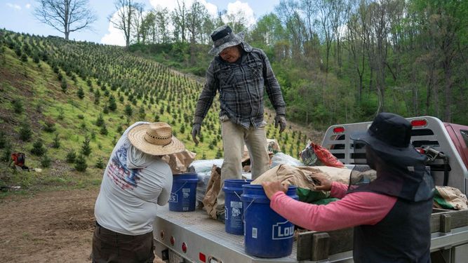 Trabajadores agrícolas en Estados Unidos en plena faena de siembra.