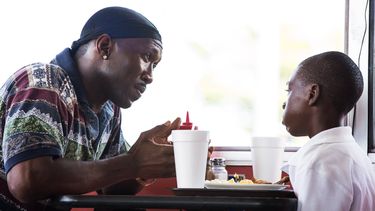 La película Moonlight.