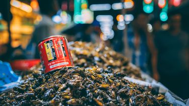 Imagen referencial de unos insectos en un mercado de comida.&nbsp;