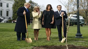 El presidente Donald Trump y su homólogo francés, Emmanuel Macron, plantaron un roble en el jardín de la Casa Blanca durante la visita oficial que el mandatario galo y su esposa realizaron a Washington