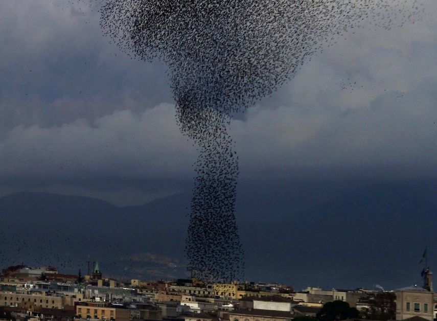 Esta nube de pájaros en movimiento se puede apreciar en primavera, aunque las exhibiciones son mucho más pequeñas y menos impresionantes que las que se pueden contemplar cuando llega el frío