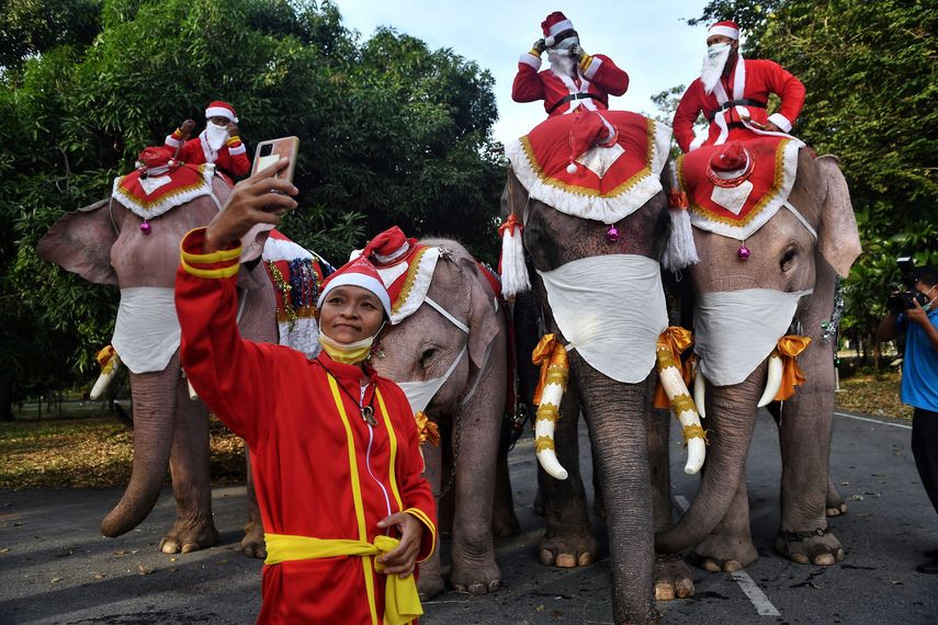 Cuatro elefantes, con adornos navideños y mascarillas gigantes, desfilaron en su visita anual a un centro escolar en Tailandia