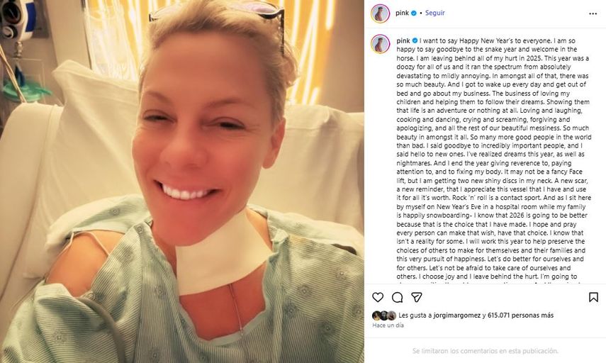 La cantante Pink.&nbsp;