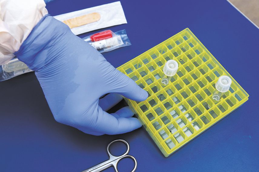 Jeringas, agujas, cat&eacute;teres, guantes, material de laboratorio forman parte de los insumos m&eacute;dicos.