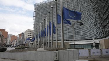 La empresa japonesa Sanrio y la estadounidense Universal también serán investigadas por las mismas razones.&nbsp;