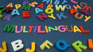 Científicos descubrieron un mejor funcionamiento cerebral en personas que hablan más de un idioma.&nbsp;