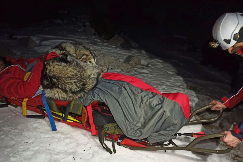 Esta fotografía proporcionada por el Servicio de Rescate de Montaña de Croacia muestra a un montañista con su perro durante un operativo de rescate en el monte Velebit.