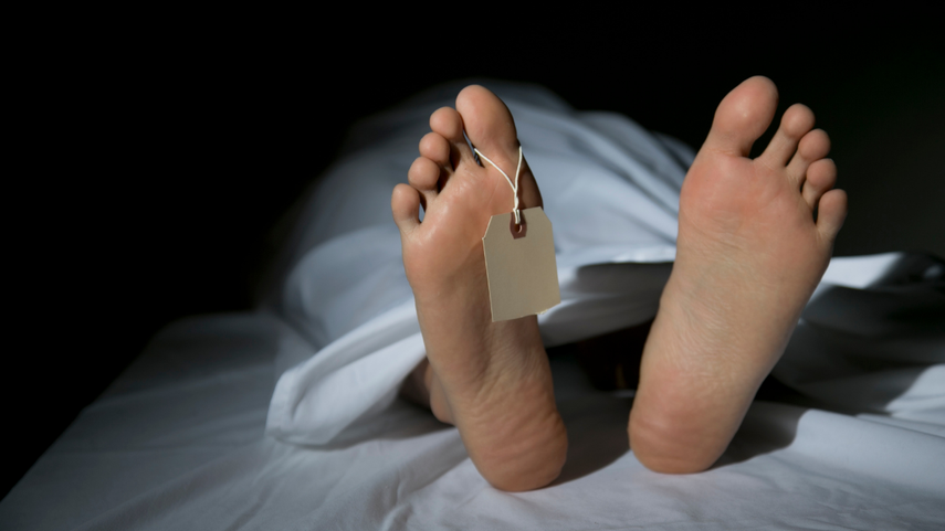 Hallan siete cadáveres en zona de cárteles mexicanos