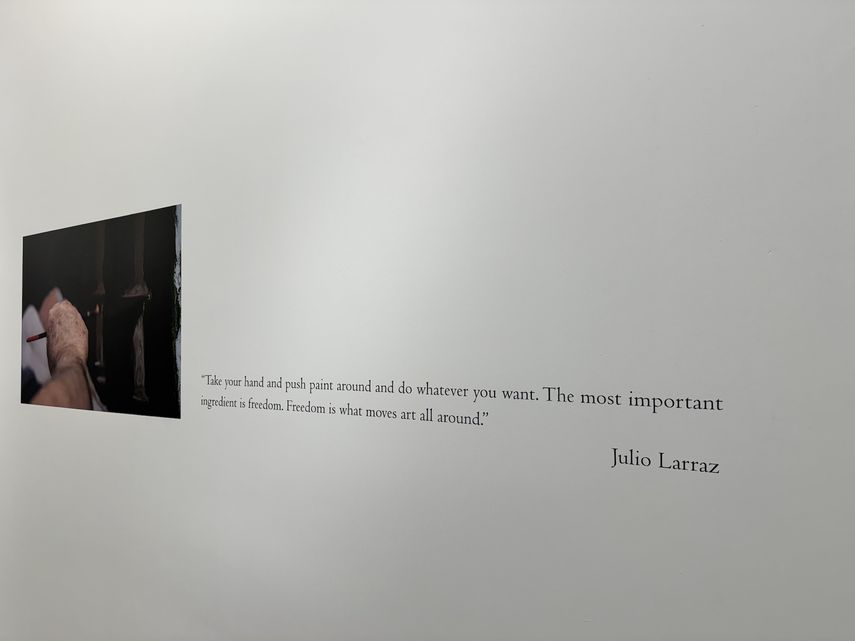 Julio Larraz afirma que la libertad es esencial para crear.&nbsp;
