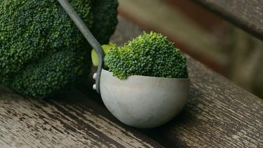 La Semana Vegetariana se celebra los primeros días del mes de octubre.