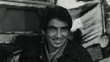 El pintor y muralista venezolano Oswaldo Vigas.