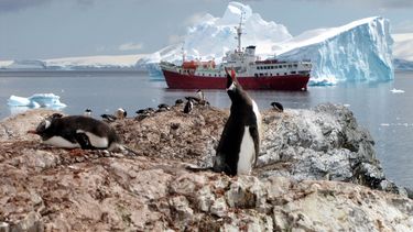 Los indefensos polluelos de pingüino emperador murieron en múltiples zonas de reproducción en la Antártida occidental a fines del año pasado, ahogándose o muriendo congelados cuando el hielo marino erosionado por el calentamiento global cedió bajo sus diminutos pies, dijeron científicos el 24 de agosto de 2023.