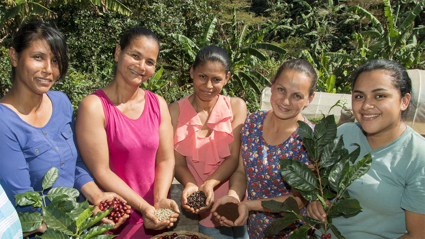 Swisscontact ha impulsado un proyecto con mujeres del sector cafetalero en Honduras.
