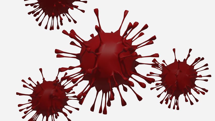 Francia supera los 106.000 fallecidos por coronavirus